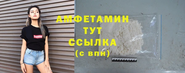 сатива Аркадак