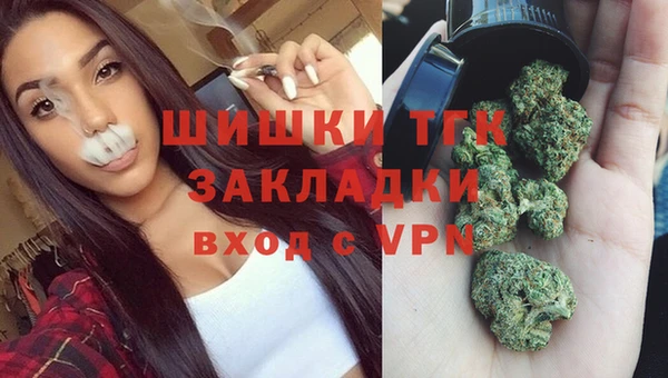сатива Аркадак