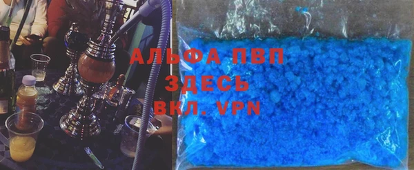 сатива Аркадак