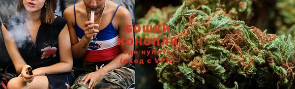 сатива Аркадак