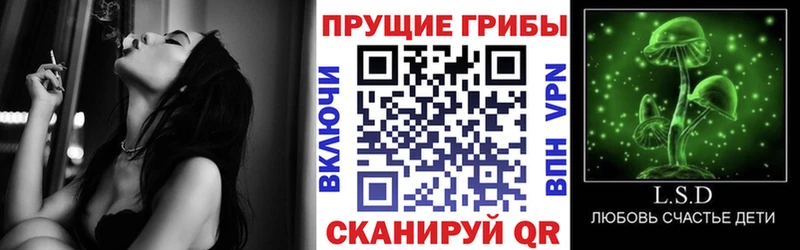 Галлюциногенные грибы Magic Shrooms  Будённовск 
